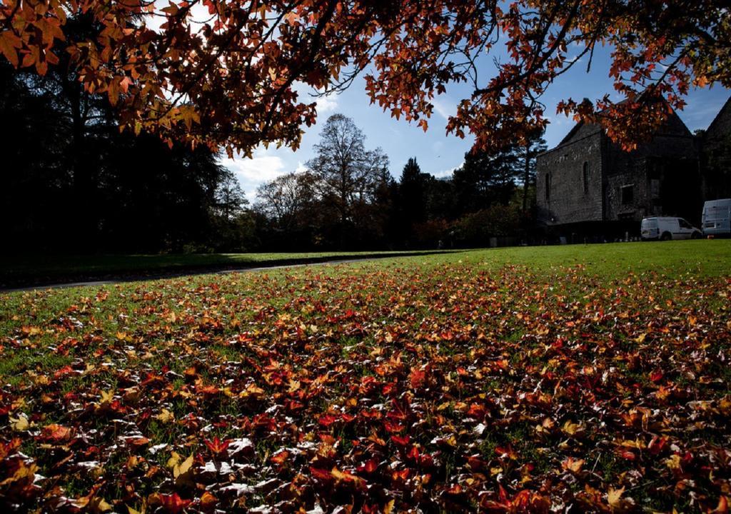 Dartington Hall Totnes Exterior photo